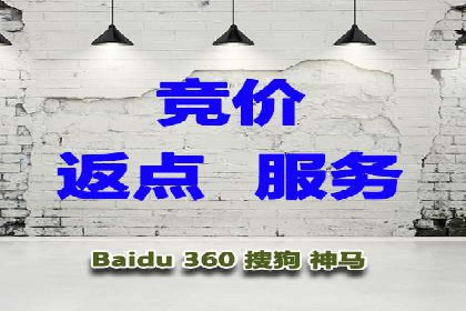 SEM公司案例研究：数据驱动营销策略